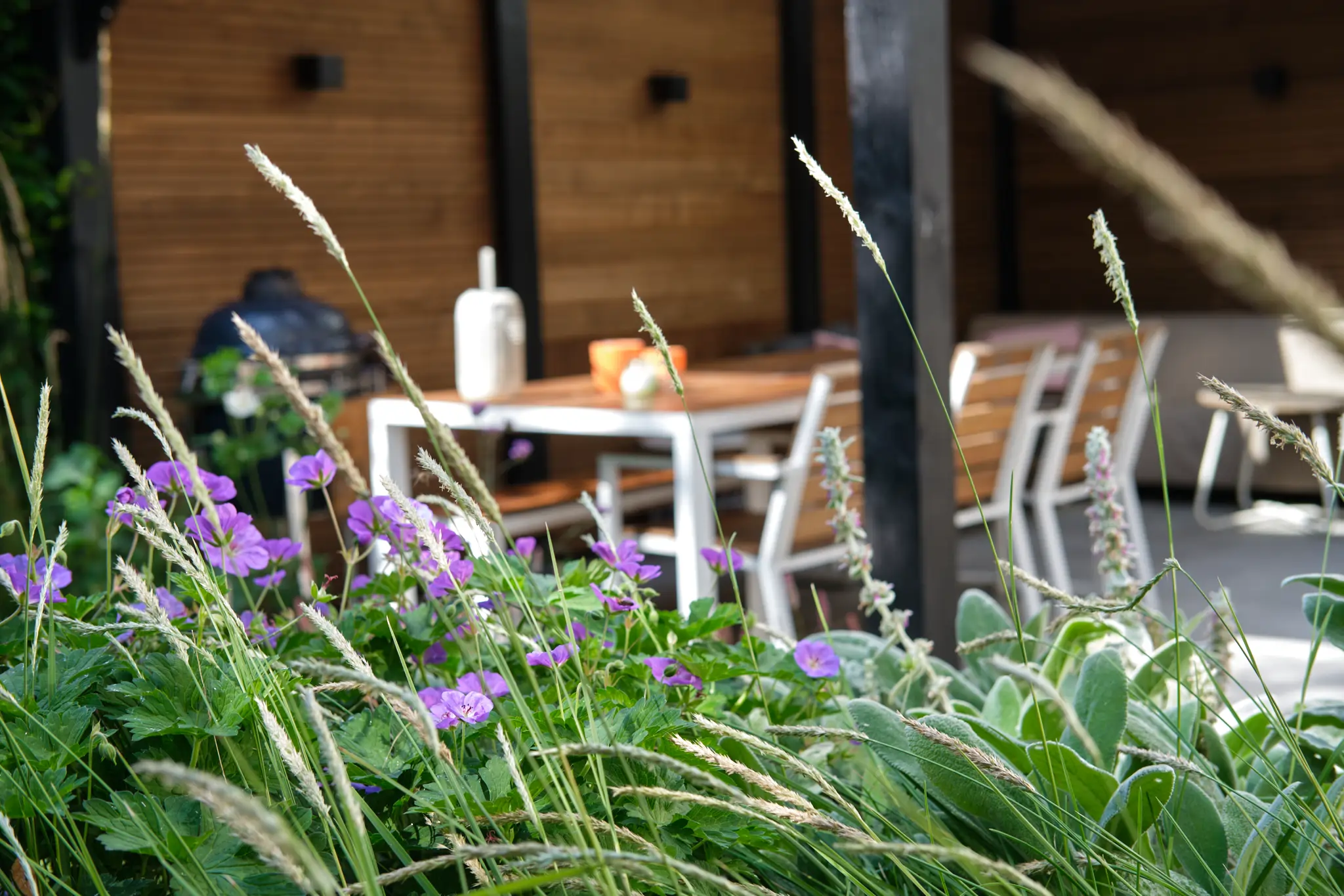 Tuinborder met paarse bloemen en siergras met paviljoen op achtergrond
