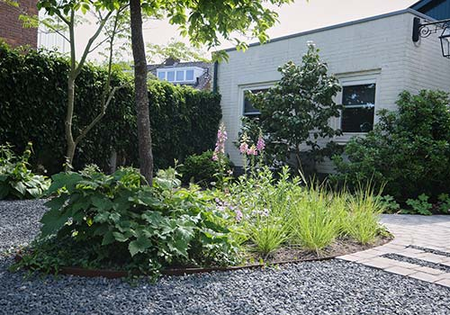 Contemporary garden design