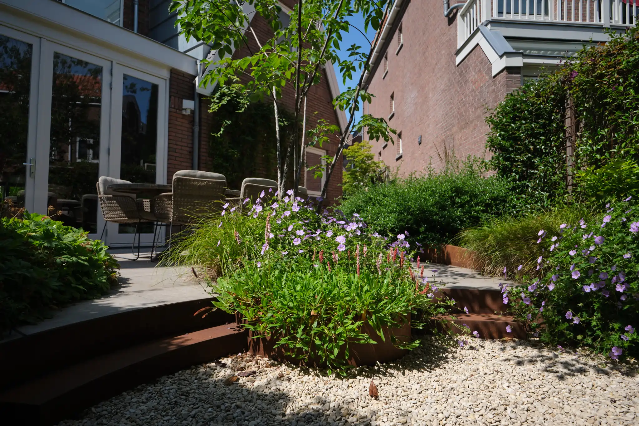 Overzicht van de eigentijdse tuin met paarse bloeiende planten en houten plantenbakken