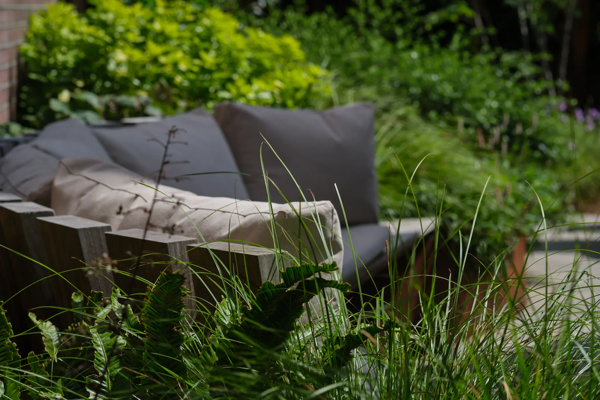 Detail van siergrassen met moderne tuinmeubelen op de achtergrond