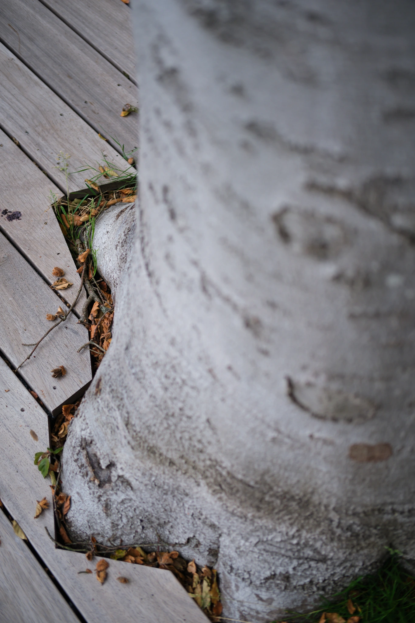 Detail hout en steen overgang met natuurlijke verwering