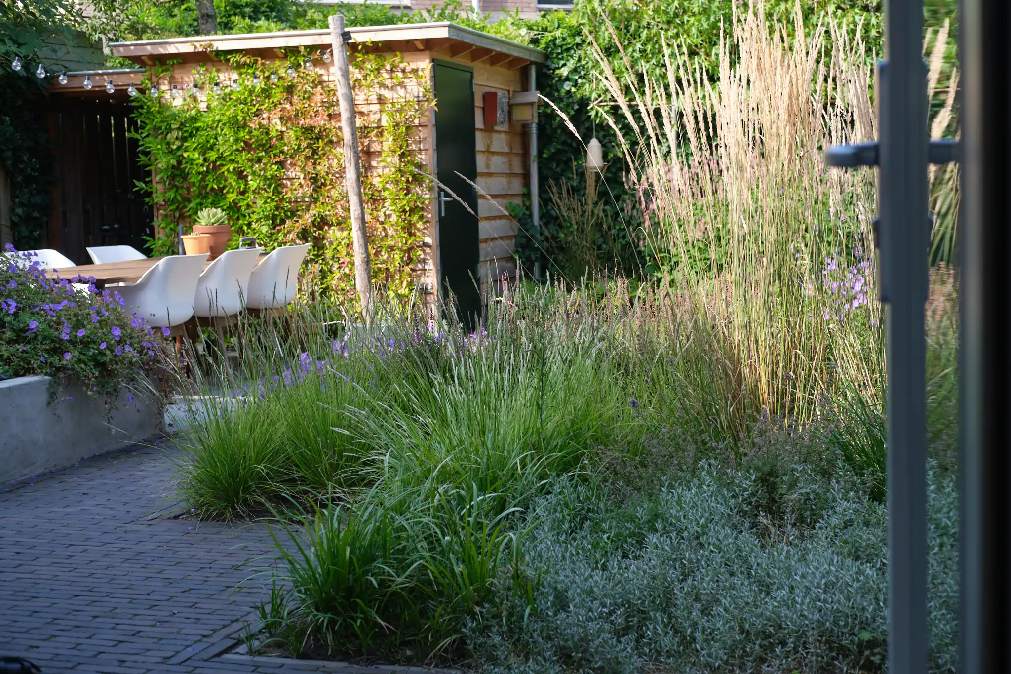 Tuinoverzicht met siergras, paarse bloemen en tuinhuisje
