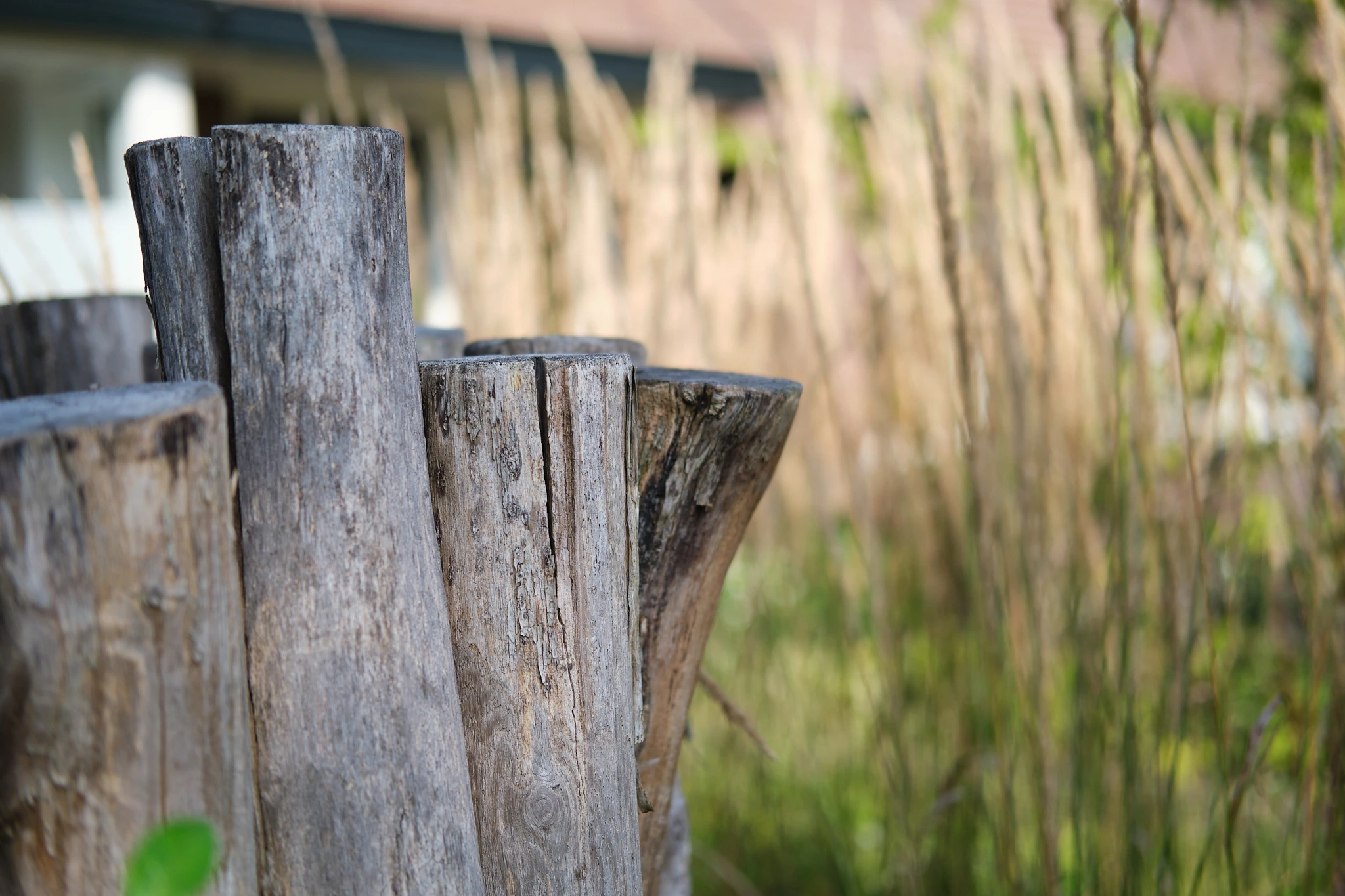 Verweerde houten hekpalen met siergras op de achtergrond