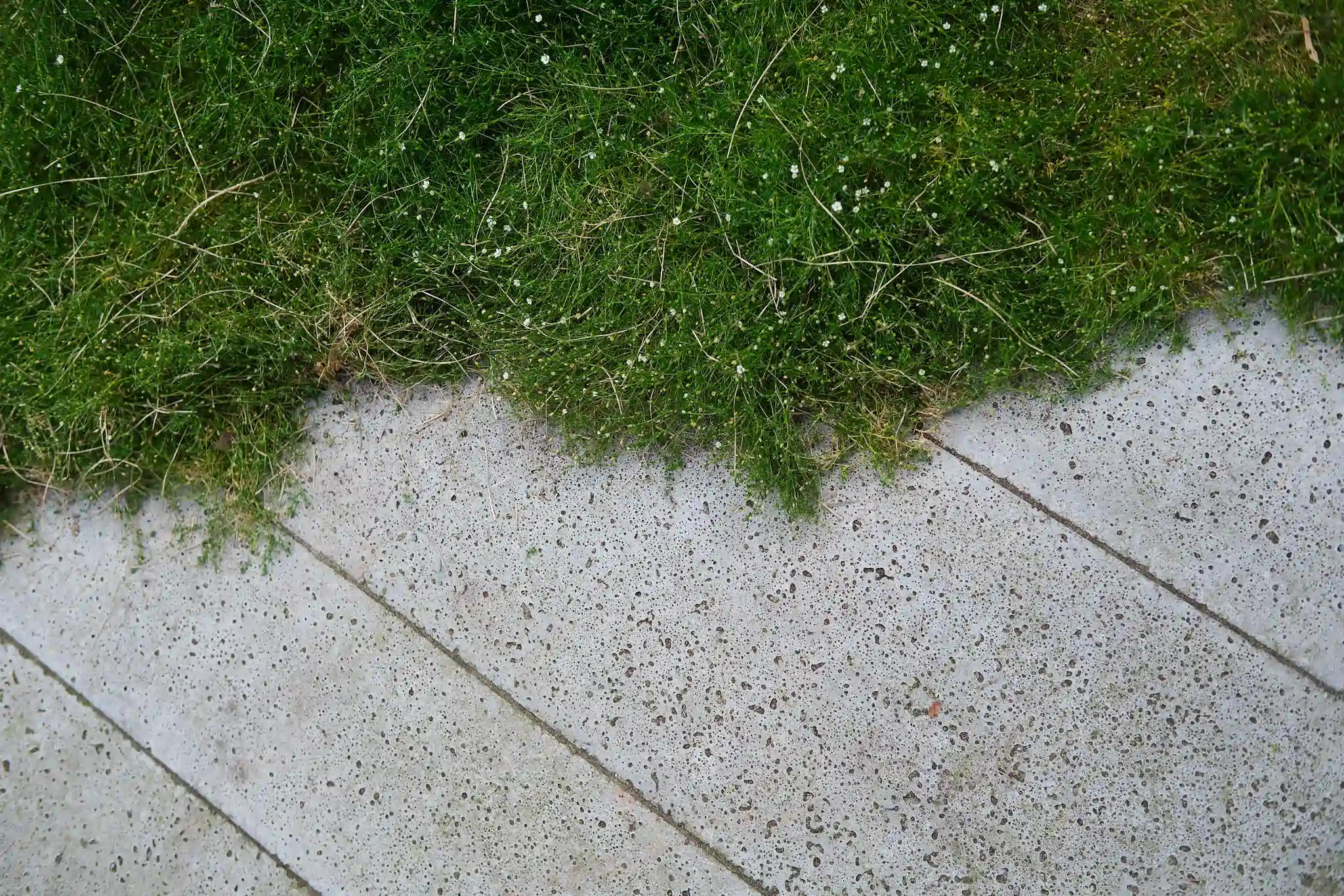 Detail van betonnen bestrating met natuurlijke grasranden