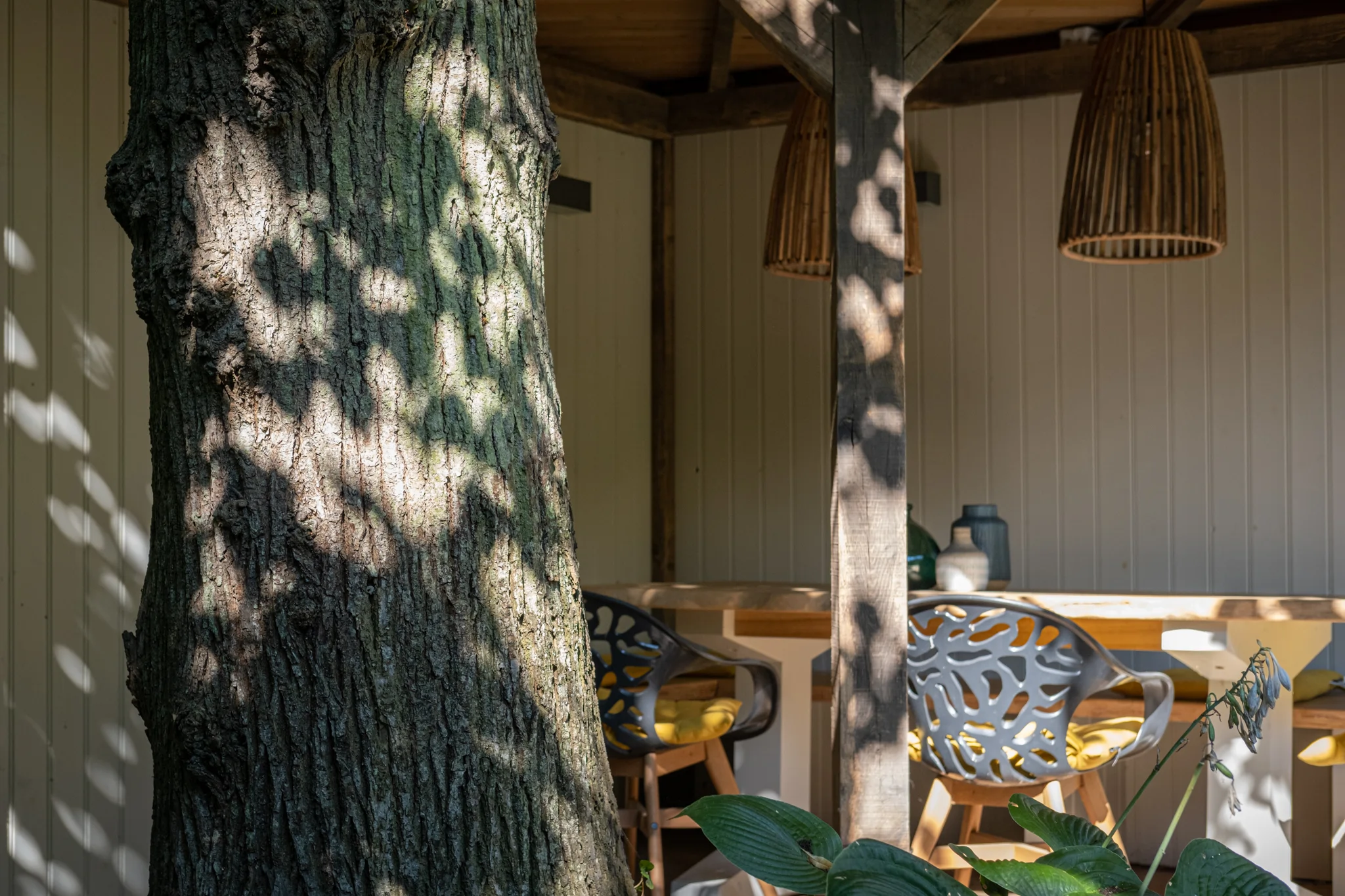 Interieur van de shelter met geïntegreerde boomstam en moderne meubels