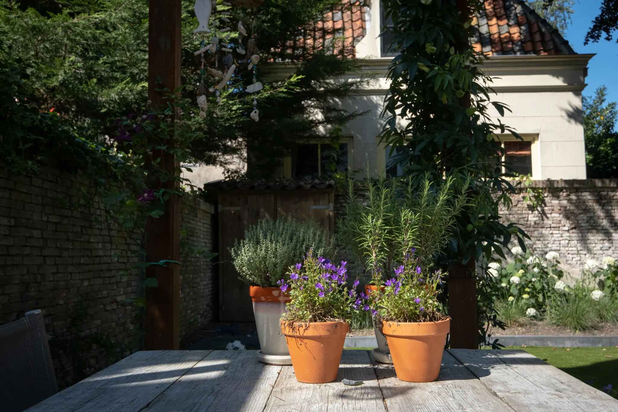 Terracotta potten met paarse bloemen op houten tafel